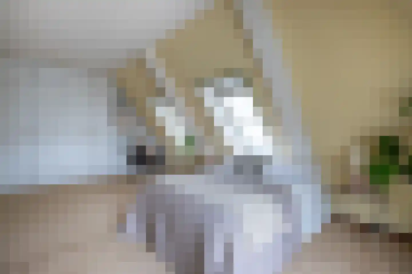 Zoutmansweg 64 d Reeuwijk thumbnail 56
