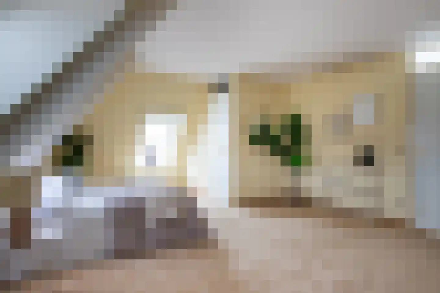 Zoutmansweg 64 d Reeuwijk thumbnail 58
