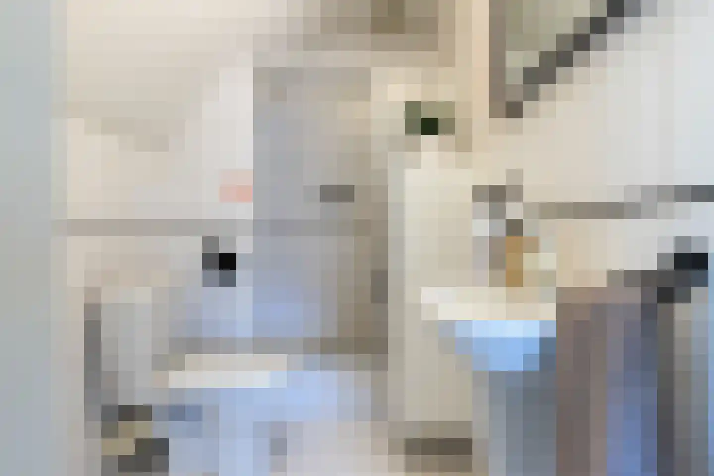 Zoutmansweg 64 d Reeuwijk thumbnail 60