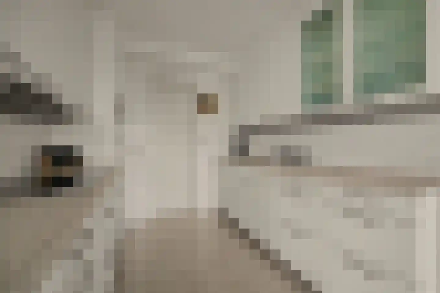 Zoutmansweg 66 d Reeuwijk thumbnail 18