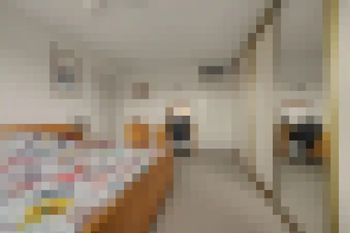 Zoutmansweg 66 d Reeuwijk thumbnail 23