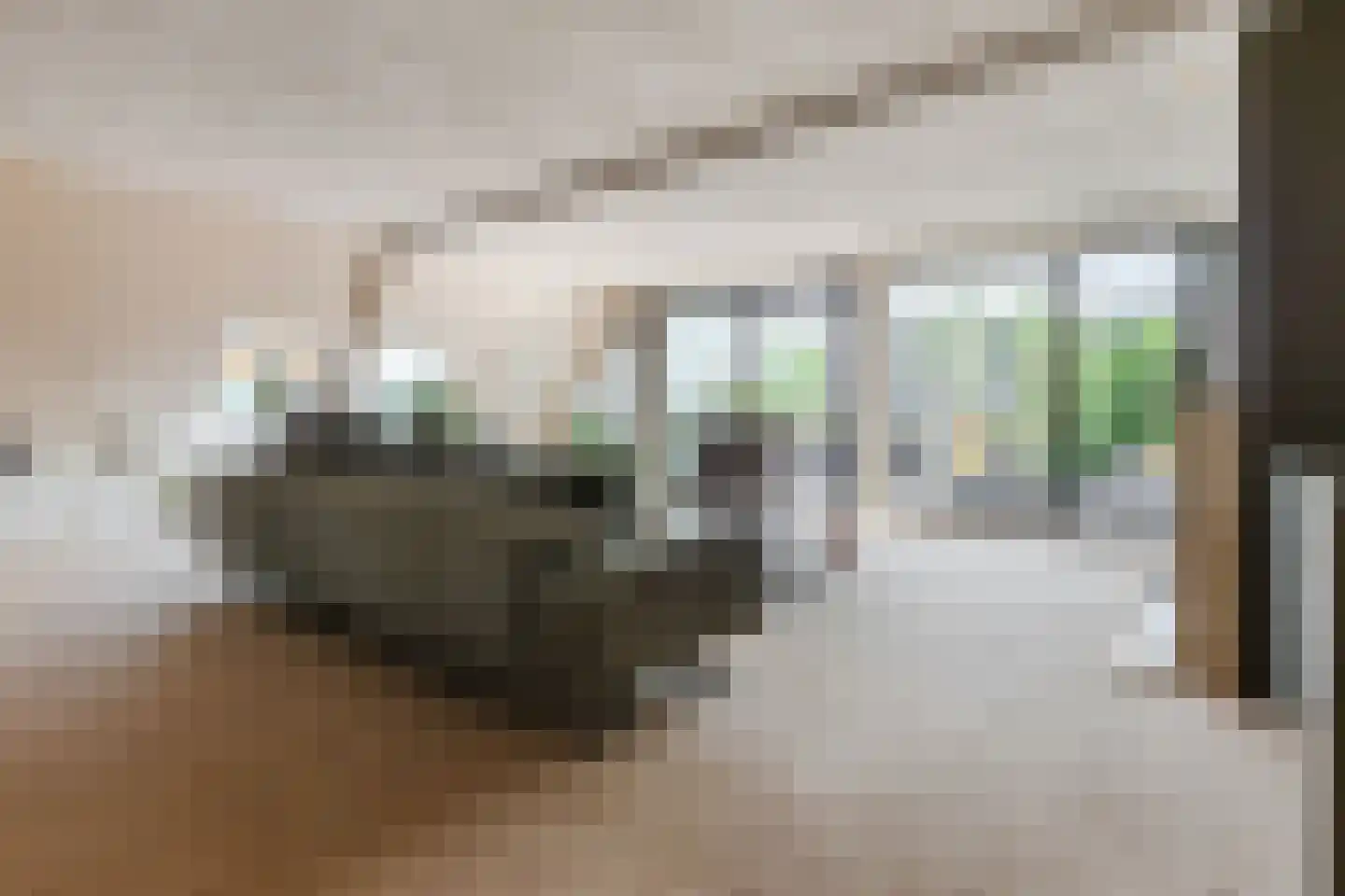 Zoutmansweg 66 e Reeuwijk thumbnail 11