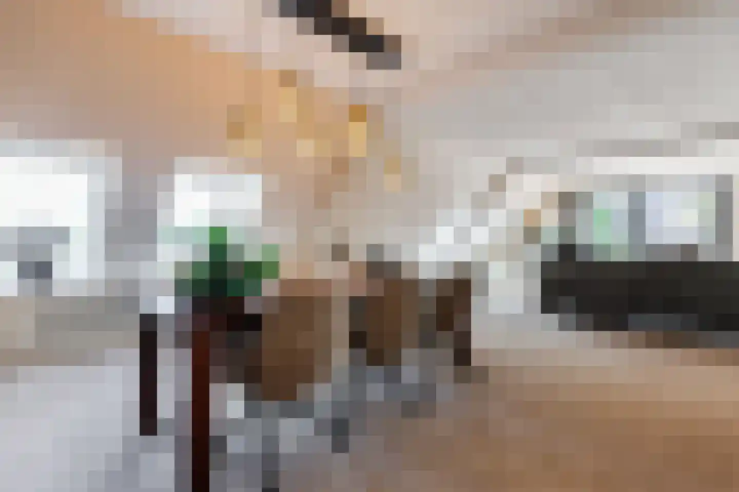Zoutmansweg 66 e Reeuwijk thumbnail 18