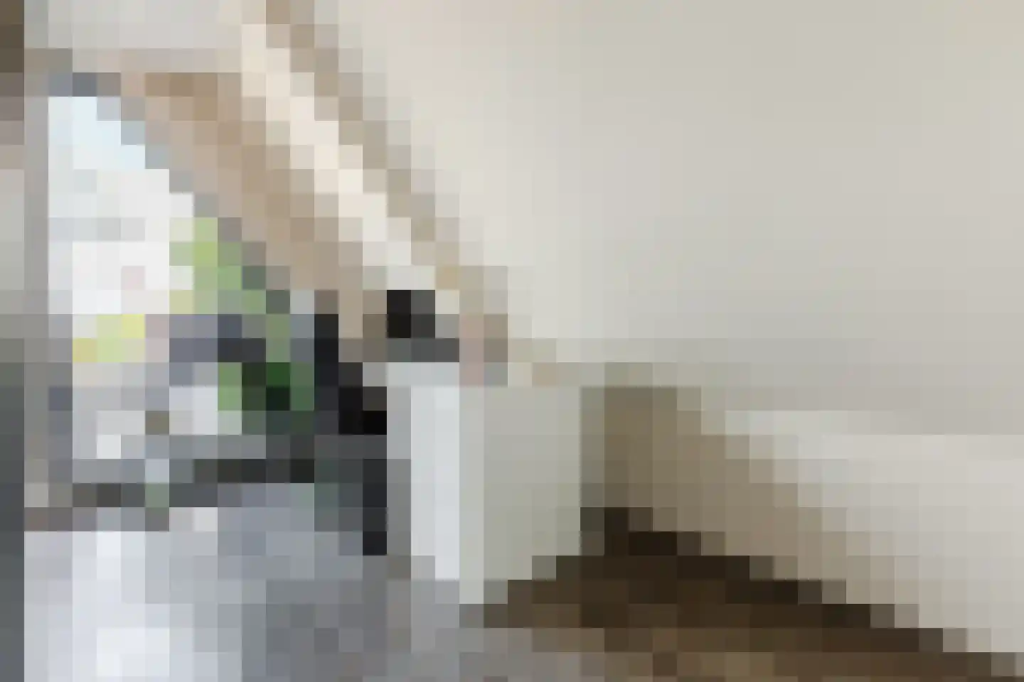 Zoutmansweg 66 e Reeuwijk thumbnail 33