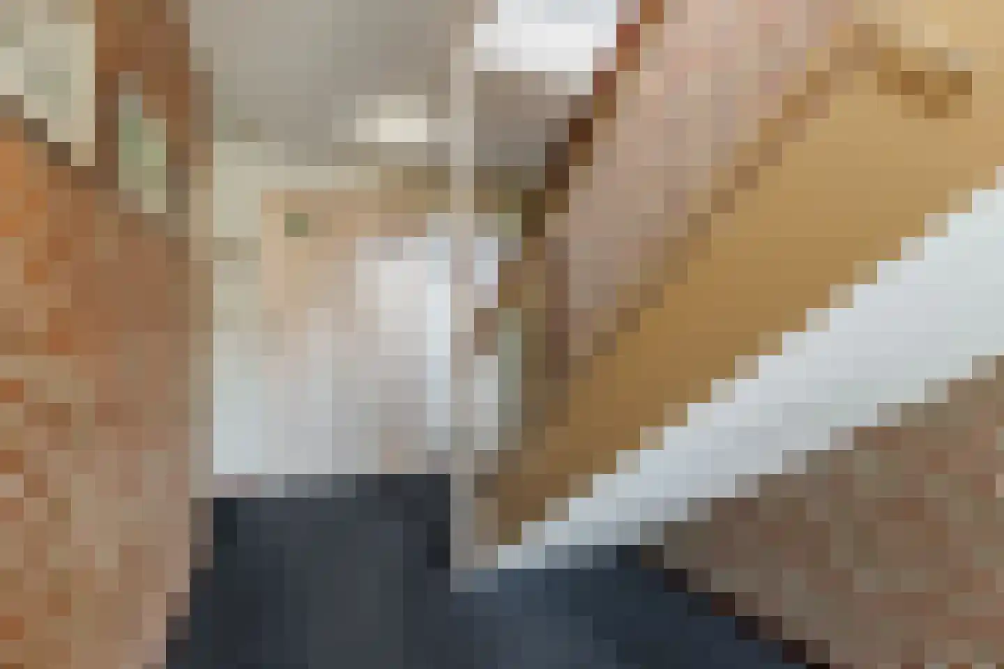 Zoutmansweg 66 e Reeuwijk thumbnail 6