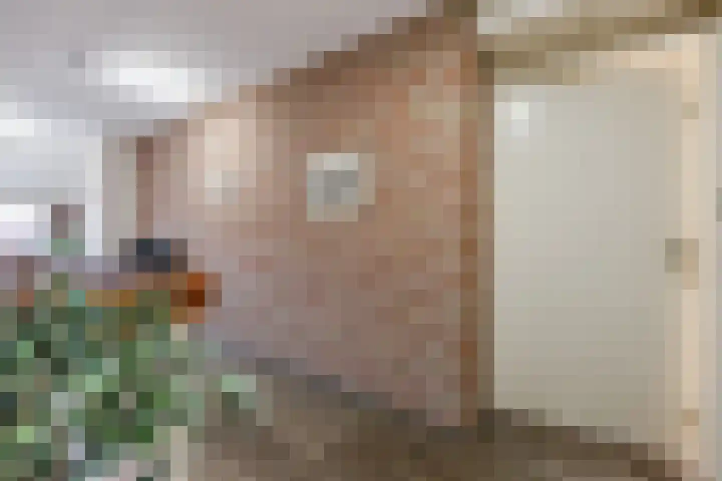 Zoutmansweg 66 e Reeuwijk thumbnail 7