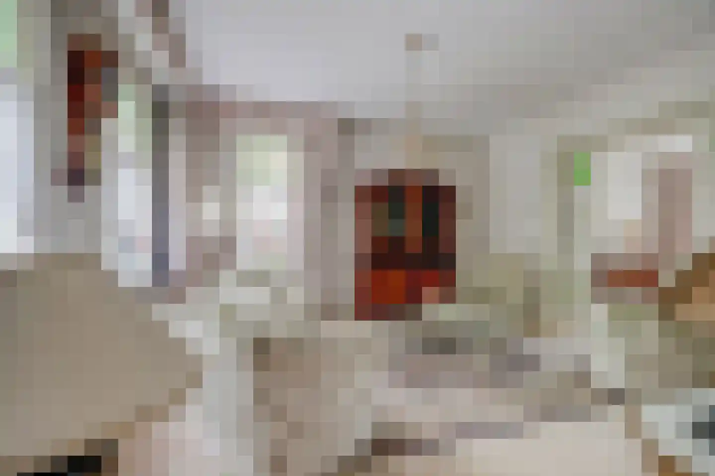 Zoutmansweg 8 Reeuwijk thumbnail 11