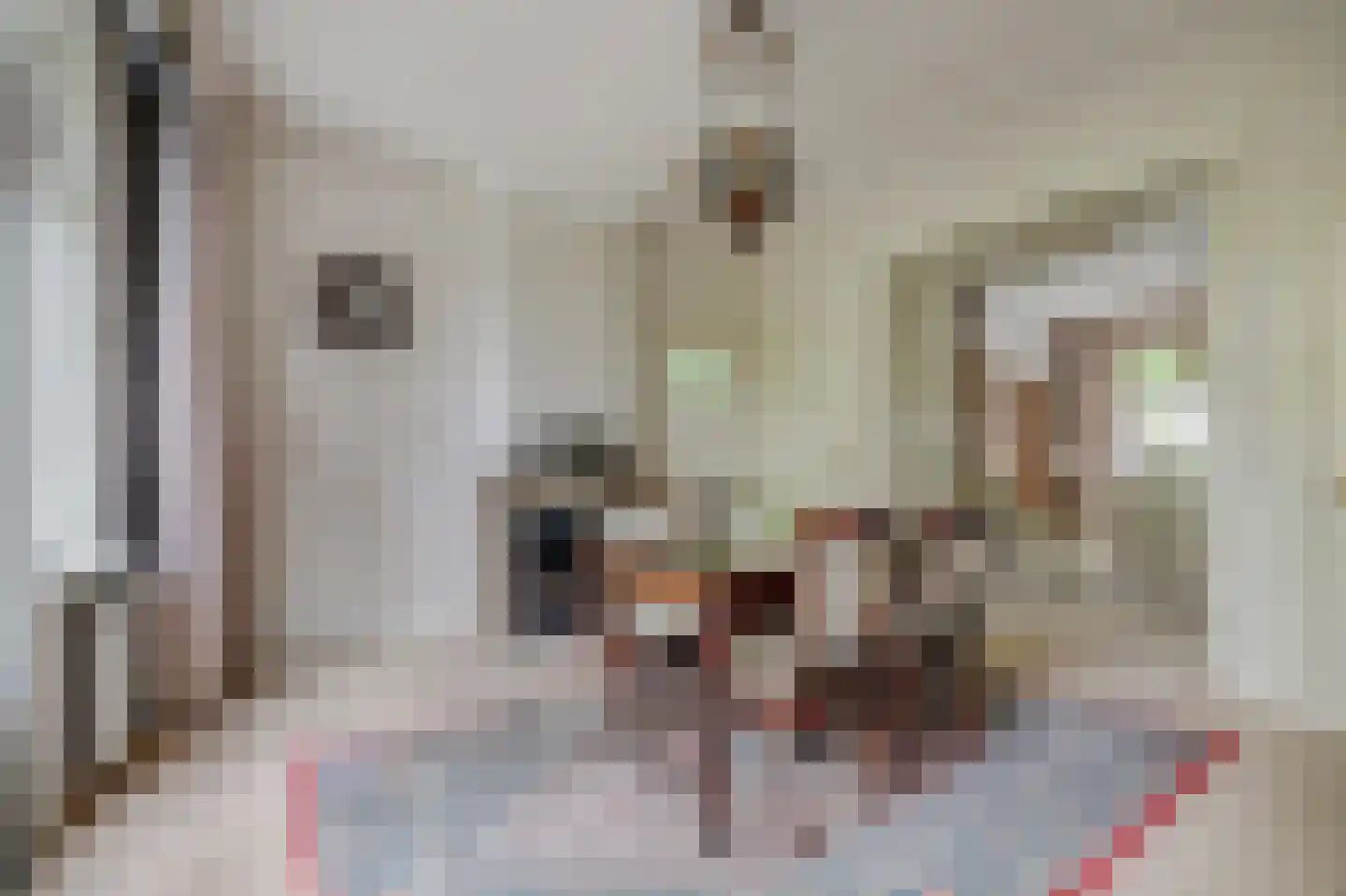 Zoutmansweg 8 Reeuwijk thumbnail 14