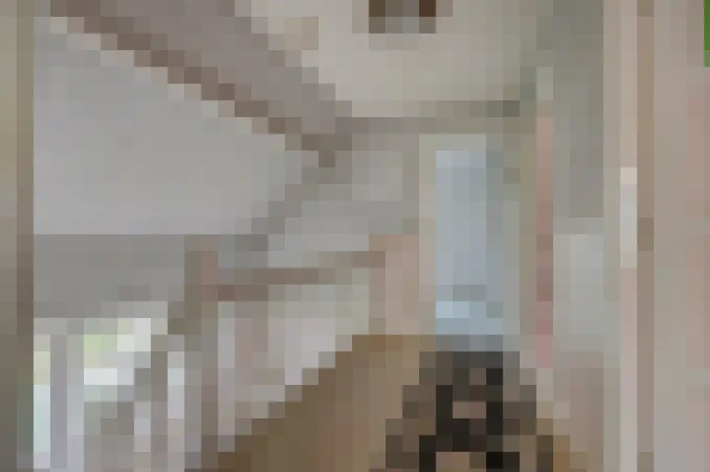 Zoutmansweg 8 Reeuwijk thumbnail 22