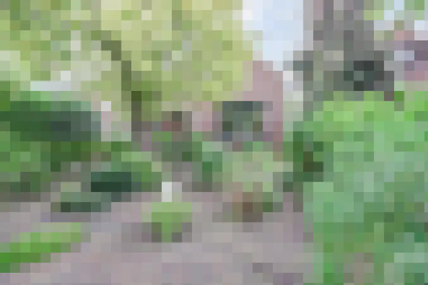 Zoutmansweg 8 Reeuwijk thumbnail 41