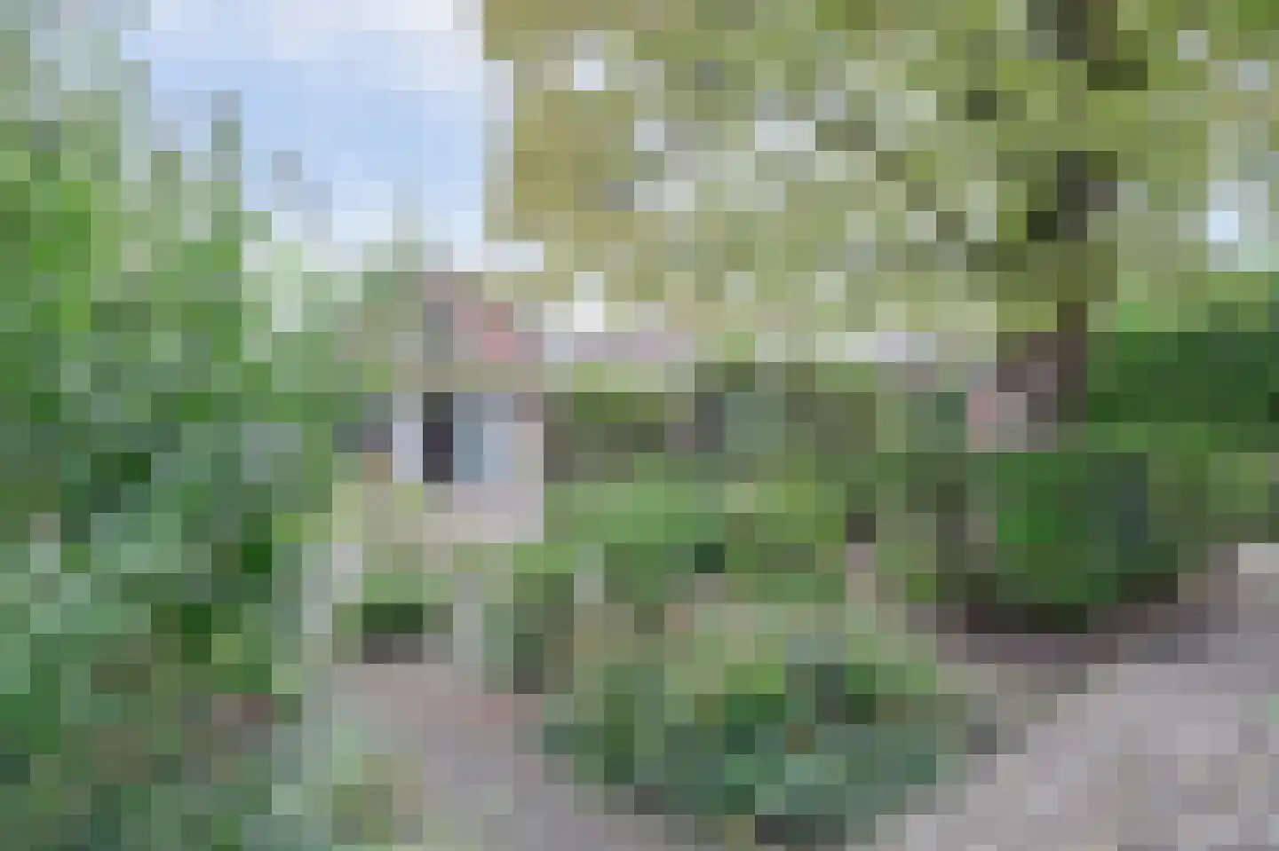 Zoutmansweg 8 Reeuwijk thumbnail 43