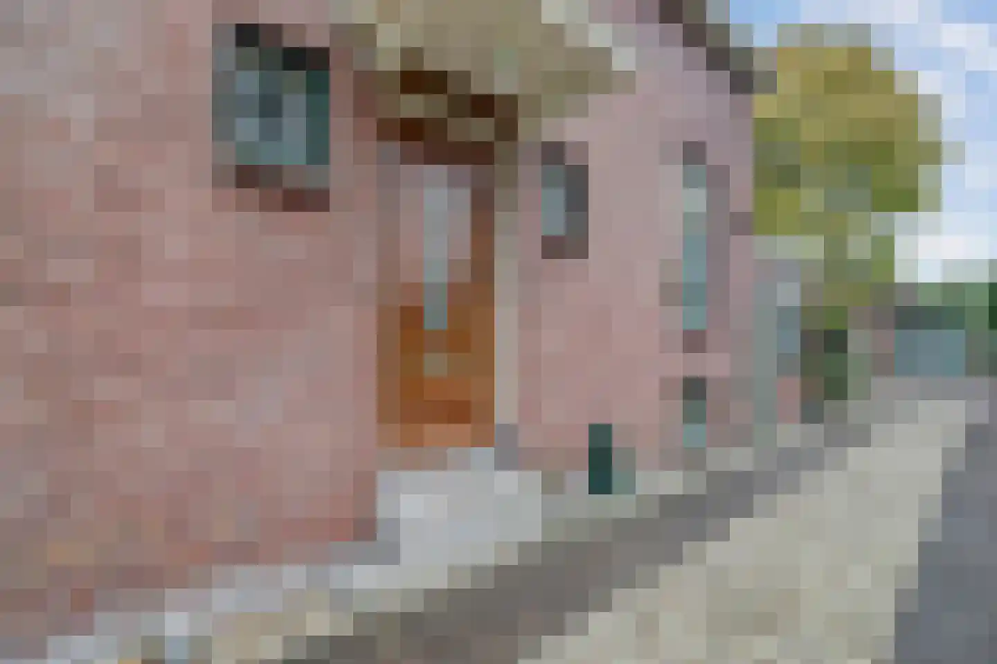 Zoutmansweg 8 Reeuwijk thumbnail 6