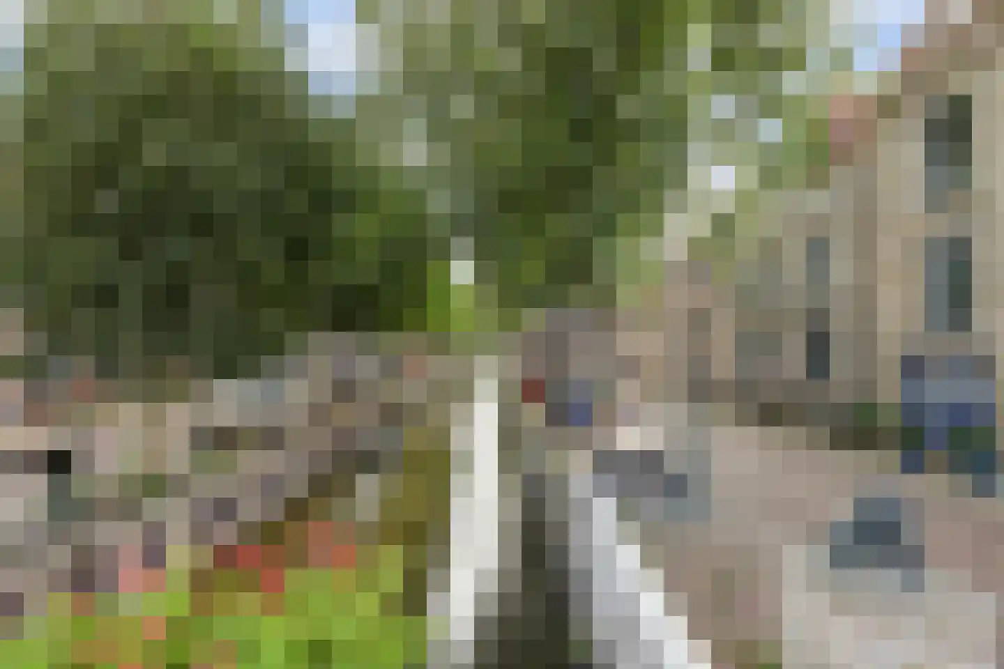 Zoutsloot 49 Harlingen thumbnail 30