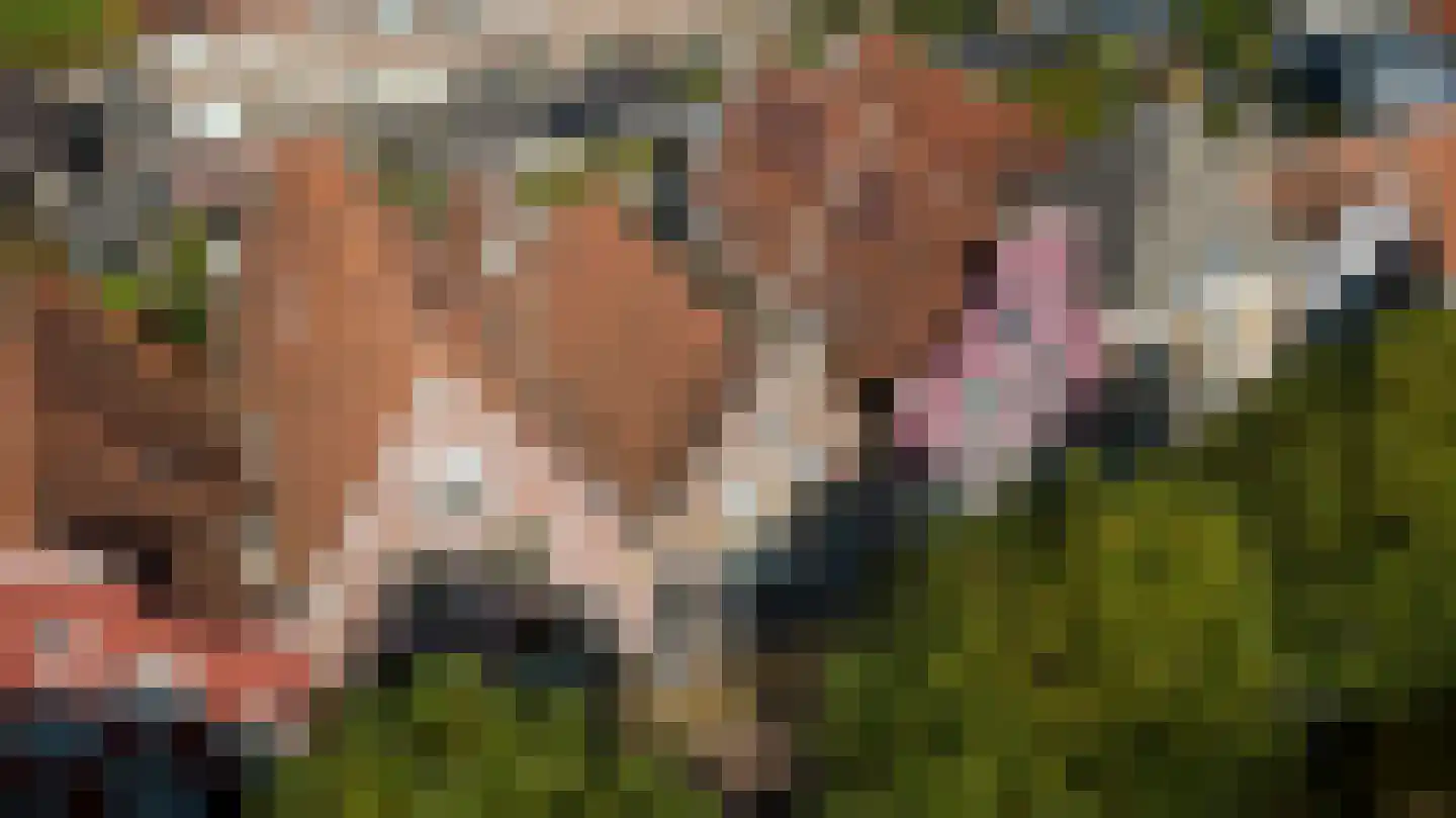 Zoutsloot 49 Harlingen thumbnail 31