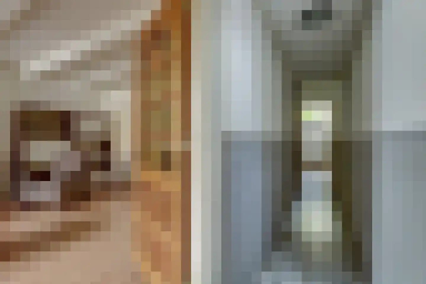 Zoutsloot 49 Harlingen thumbnail 8