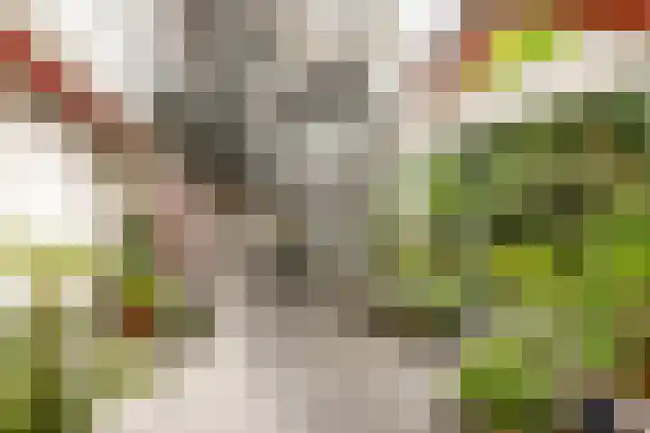 Zoutstraat 17 2 Groningen thumbnail 13