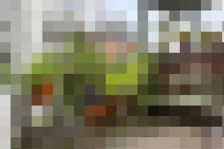 Zoutstraat 17 2 Groningen thumbnail 43