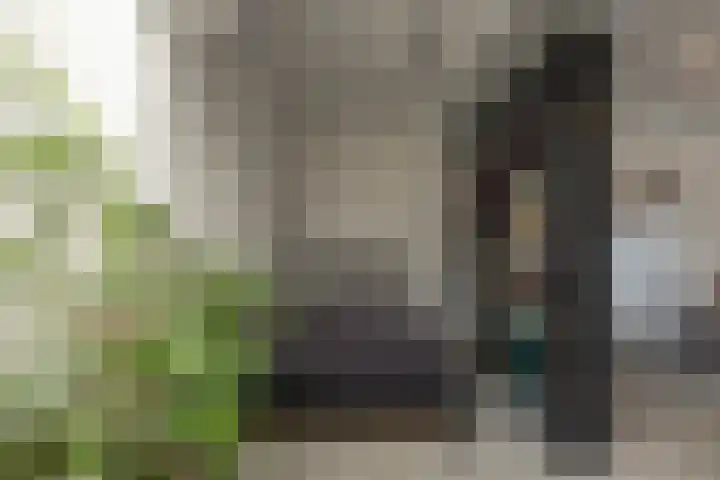 Zoutstraat 20 1 Groningen thumbnail 18