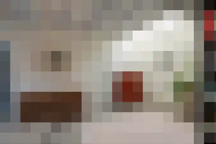 Zoutstraat 20 1 Groningen thumbnail 21