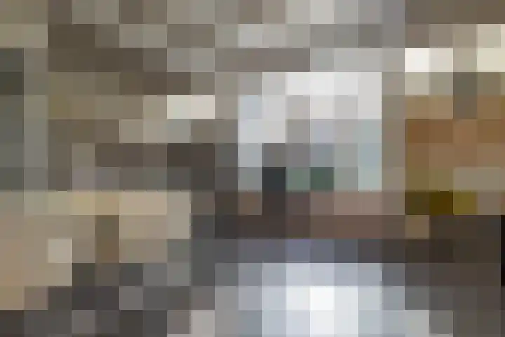 Zoutstraat 20 1 Groningen thumbnail 4