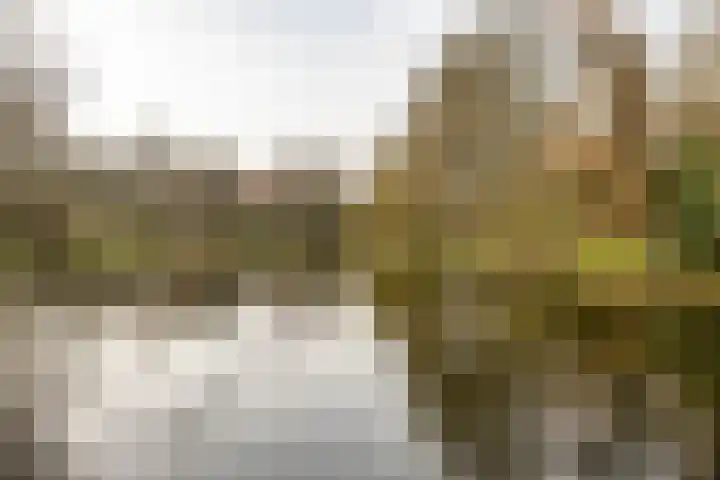 Zoutstraat 20 1 Groningen thumbnail 47