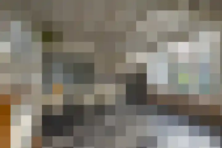 Zoutstraat 20 1 Groningen thumbnail 6