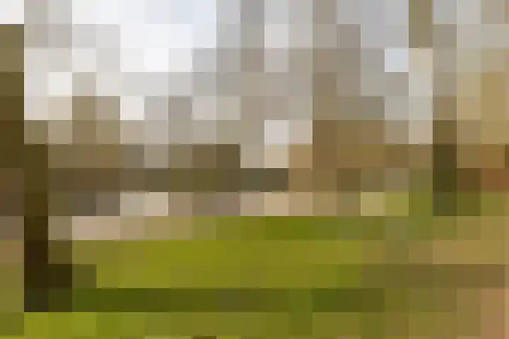 Zoutstraat 20 1 Groningen thumbnail 7
