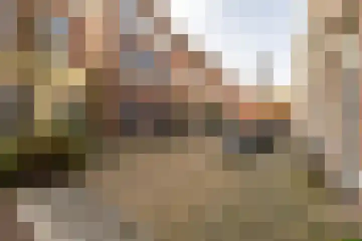 Zoutstraat 20 1 Groningen thumbnail 9