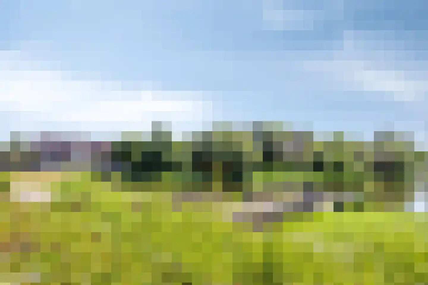 Zoutweide 118 Hellevoetsluis thumbnail 19