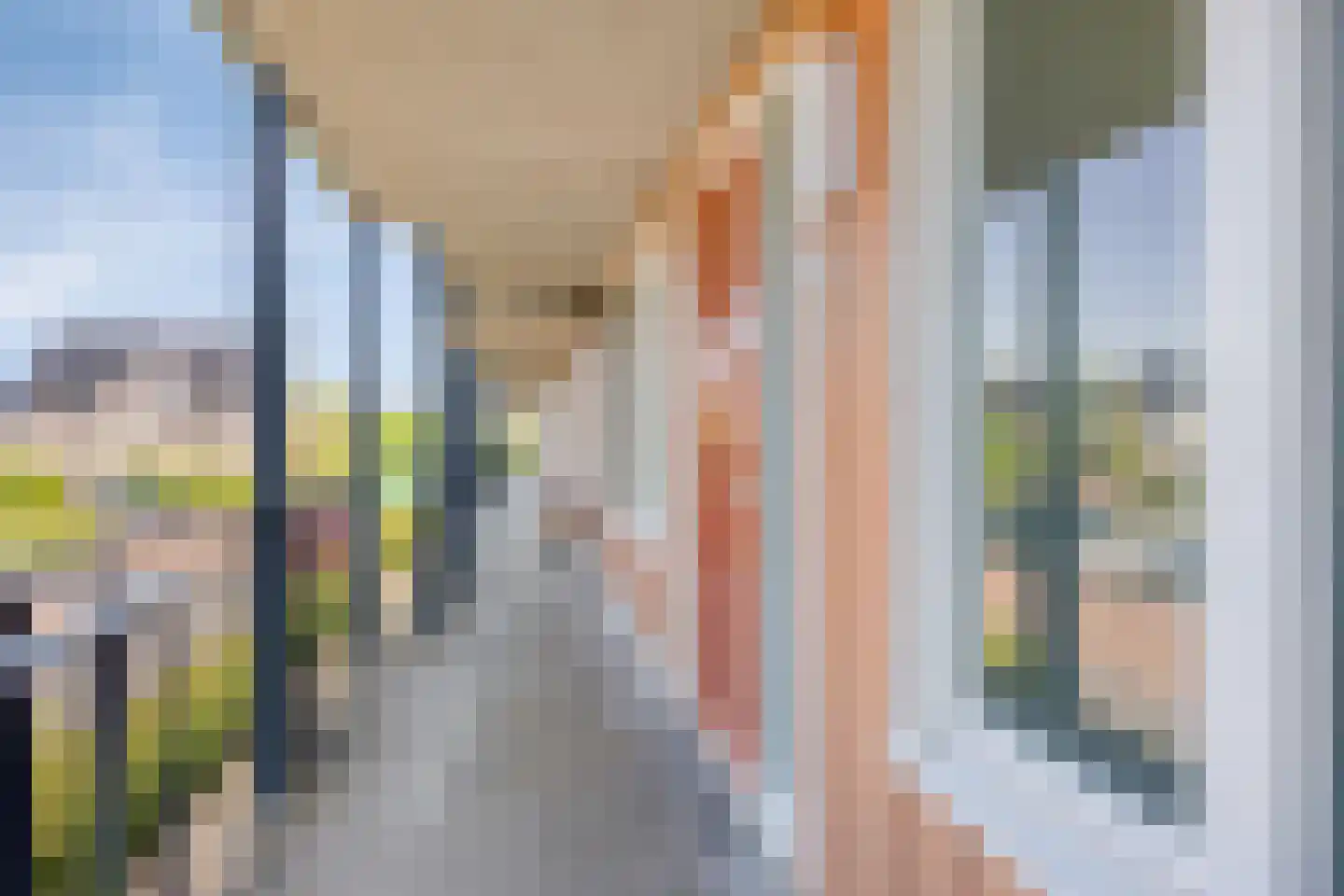 Zoutweide 118 Hellevoetsluis thumbnail 6
