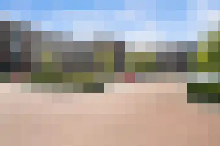 Zoutweide 120 Hellevoetsluis thumbnail 20