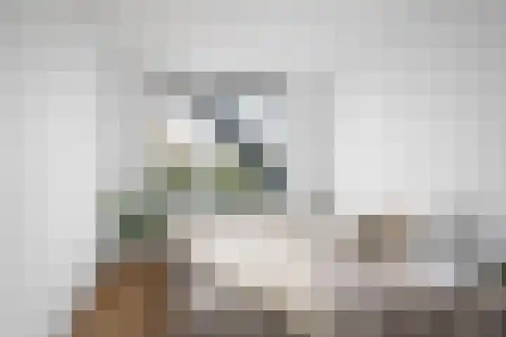 Zoutweide 18 Hellevoetsluis thumbnail 15