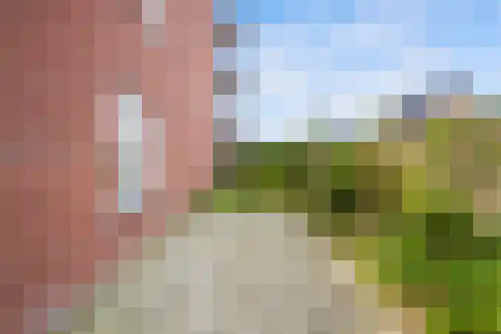 Zoutweide 18 Hellevoetsluis thumbnail 26
