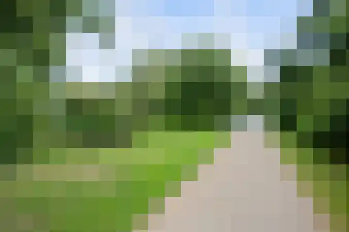 Zoutweide 18 Hellevoetsluis thumbnail 28