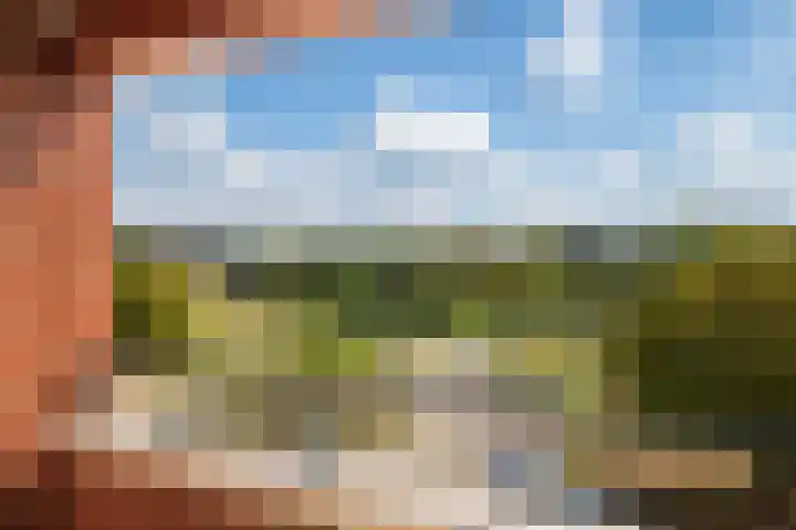 Zoutweide 210 Hellevoetsluis thumbnail 15