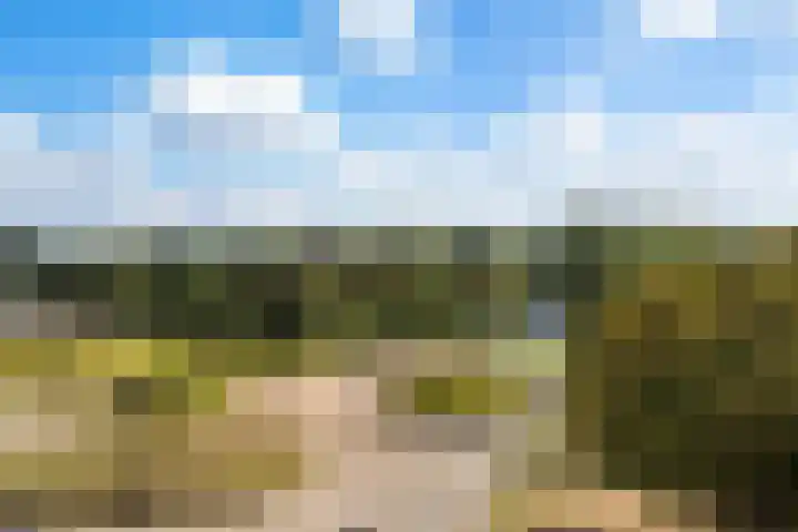 Zoutweide 210 Hellevoetsluis thumbnail 17