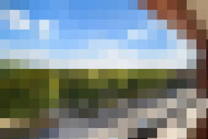 Zoutweide 210 Hellevoetsluis thumbnail 29