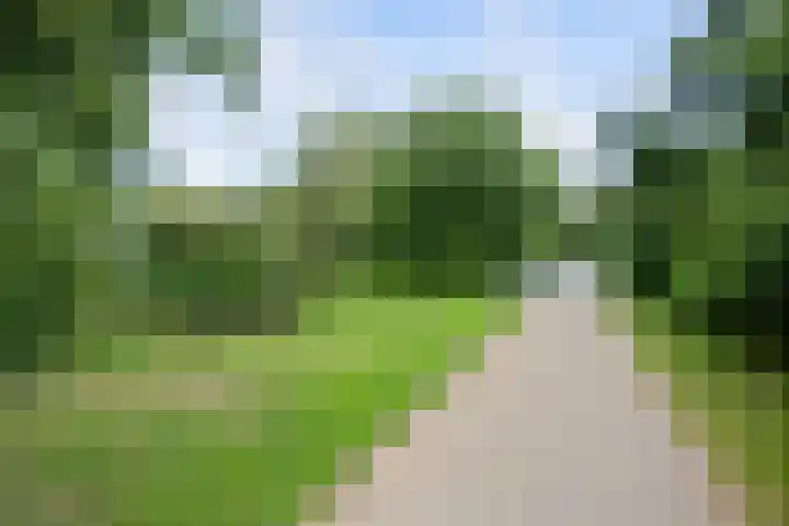Zoutweide 210 Hellevoetsluis thumbnail 30