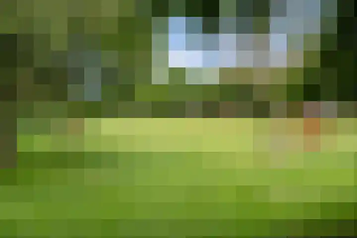 Zoutweide 222 Hellevoetsluis thumbnail 30
