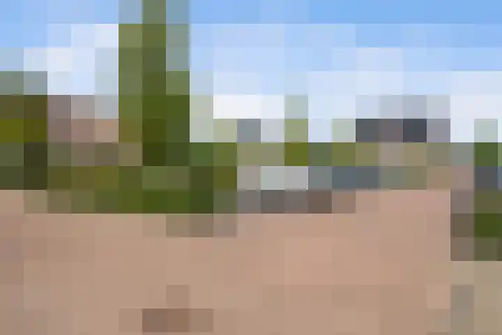 Zoutweide 222 Hellevoetsluis thumbnail 31