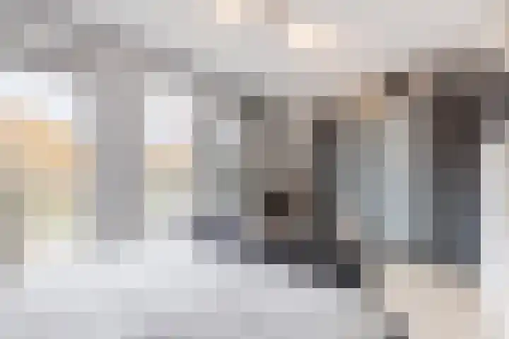 Zoutweide 3 Hellevoetsluis thumbnail 17