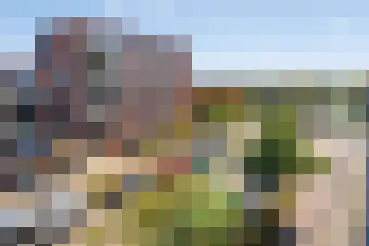 Zoutweide 316 Hellevoetsluis thumbnail 20