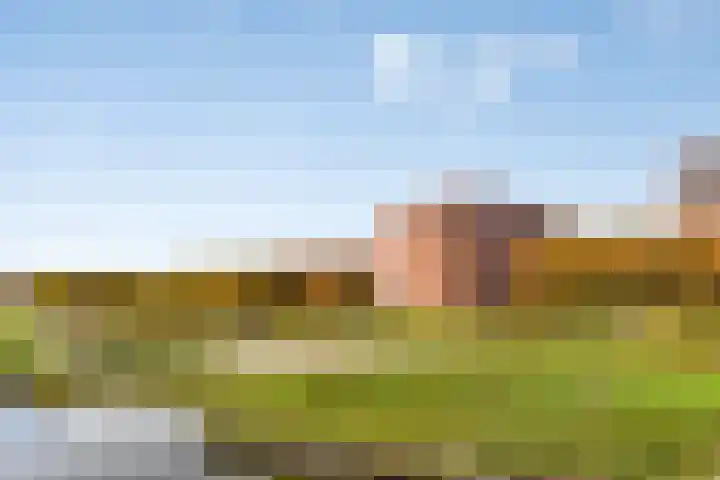 Zoutweide 316 Hellevoetsluis thumbnail 31
