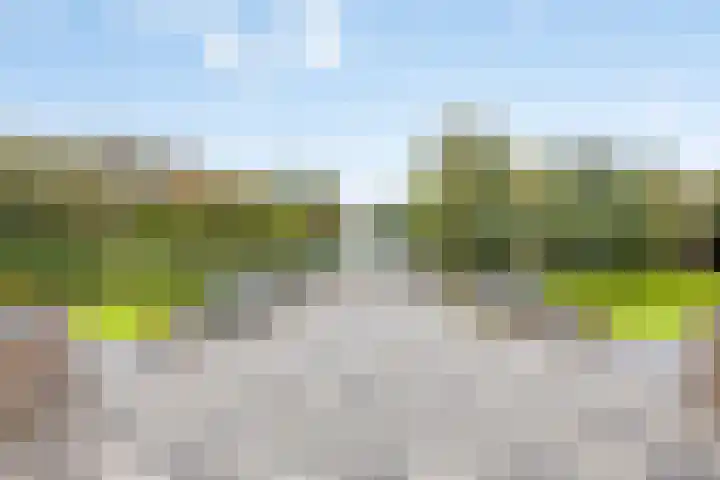 Zoutweide 316 Hellevoetsluis thumbnail 32