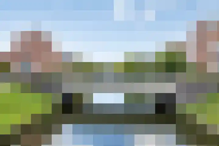 Zoutweide 316 Hellevoetsluis thumbnail 35