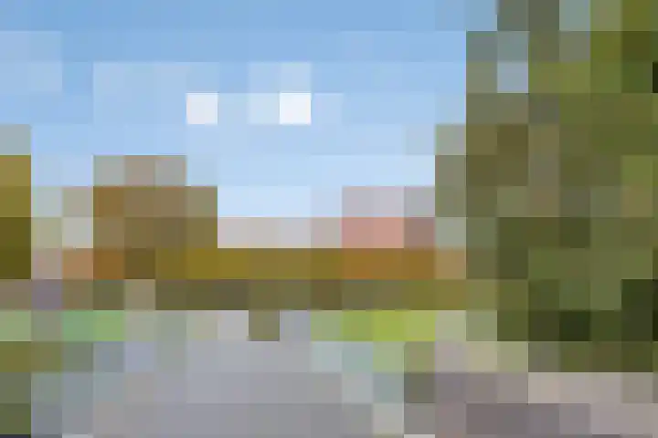 Zoutweide 316 Hellevoetsluis thumbnail 36