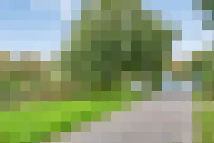 Zoutweide 316 Hellevoetsluis thumbnail 37