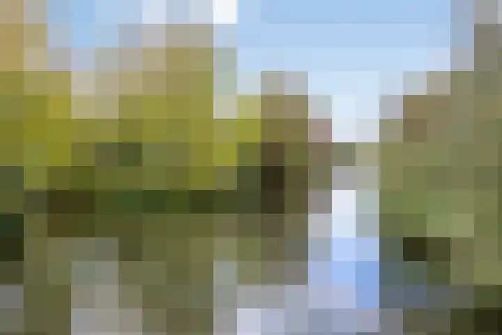 Zoutweide 316 Hellevoetsluis thumbnail 38