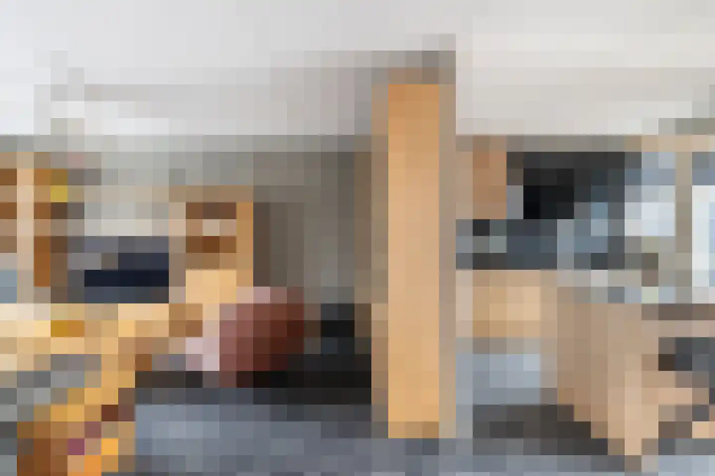 Zoutziedersdreef 8 Tholen thumbnail 12