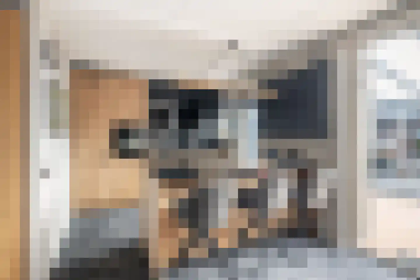 Zoutziedersdreef 8 Tholen thumbnail 13